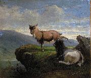 unknow artist Chamois in the mountains Germany oil painting artist